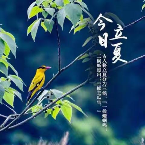 立夏·万物并秀——东康新教育五四班“立夏班会”