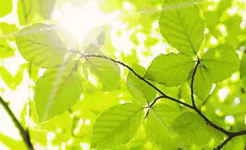 2022年林溪闲庭物业服务中心6月份工作汇报