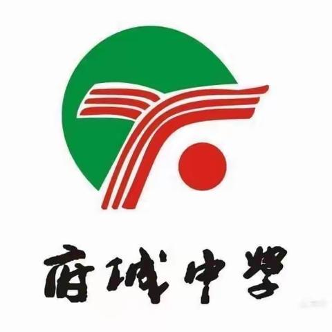 海口市琼山府城中学参加海口市七巧板科技活动