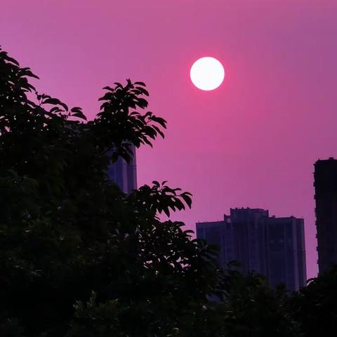 落阳似朝阳