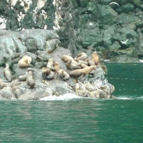 阿拉斯加之行1-KenaiFjords(2013年8月）