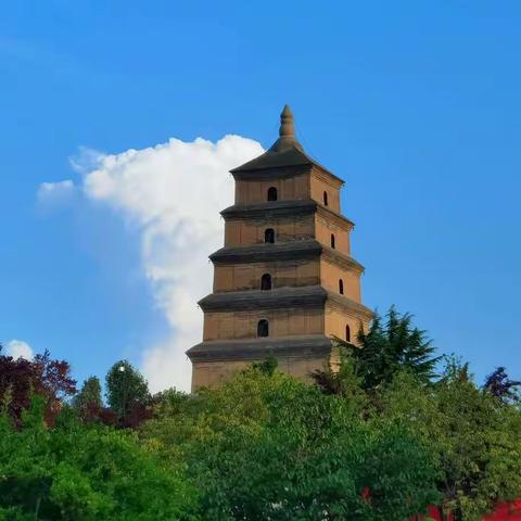 带外孙女在西安六日旅游纪行