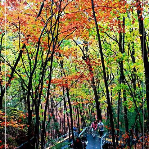 书法协会红石峰一日游 여러분들의 찍은 사진으로 담아봤습니다.