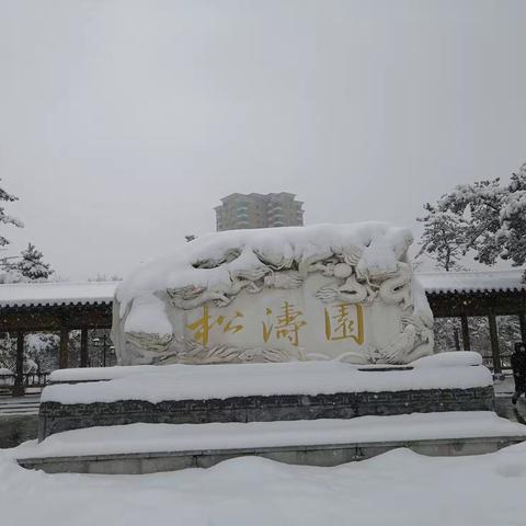 아름다운 봄눈 경치