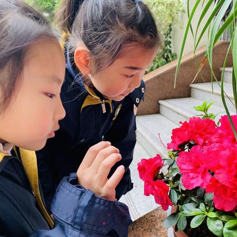 游人不解春何处，只拣儿童多处行——三(2)班植物记录卡展示活动