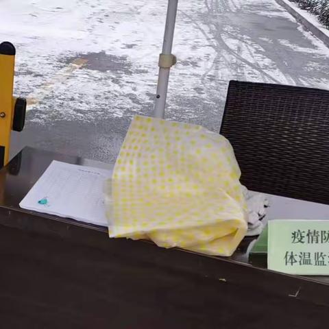 紫薇大道街道郭家街村疫情防控纪实：有一种坚守叫做风雪无阻