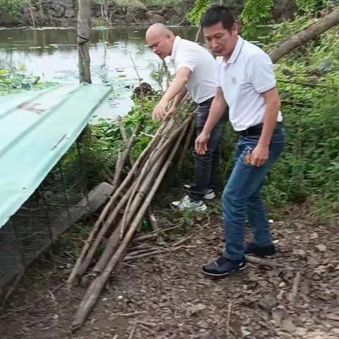 龙泉镇农村人居环境整治“夏季战役”专项行动日报