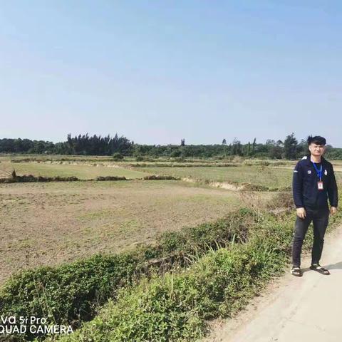 龙华区龙泉镇生态环境办大气污染防治巡查工作