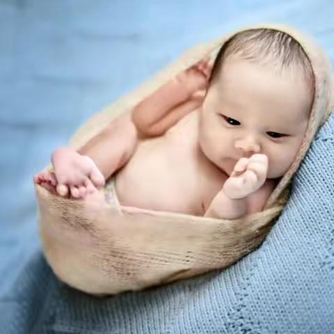 艾米公主成长记