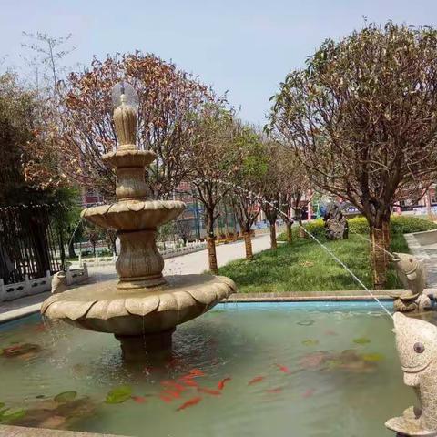 向“整齐”看齐 推动内涵发展——沁阳市实验小学开展“整齐”教育主题活动