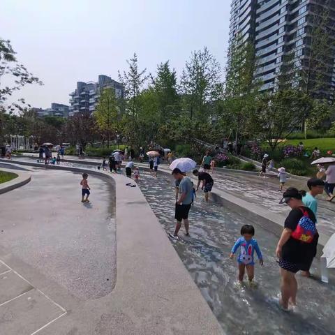 7月-成都麓湖分水公园