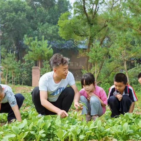 2021-2022学年下学期劳动教育工作总结