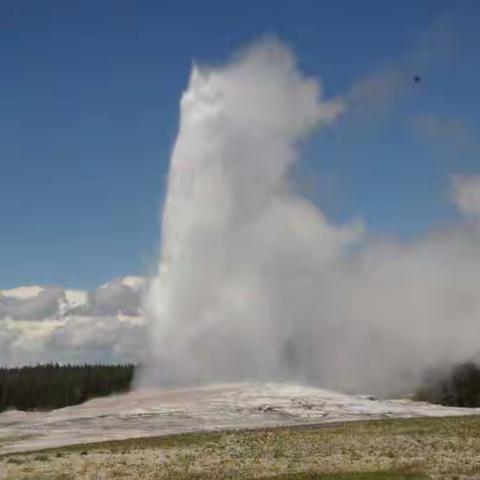 美国“黄石、大提顿公园”之旅（之四）黄石公园四天游（1）
