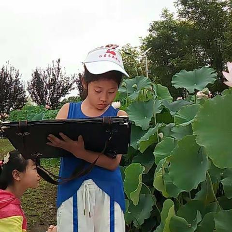 《荷花🌸苑》，我是池阳小学二年级二班的麻仪歌，我在参加西安荷花写生。