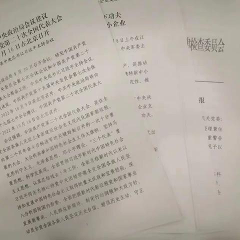 国际业务经营中心党支部召开10月支部集中学习会议