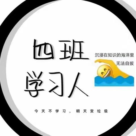 晨旭队共学情况