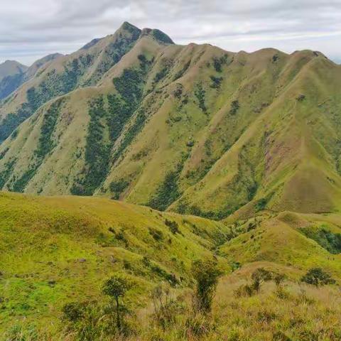 三官山挖黄堡