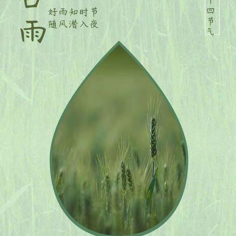 兰妮幼儿园——节气《谷雨》