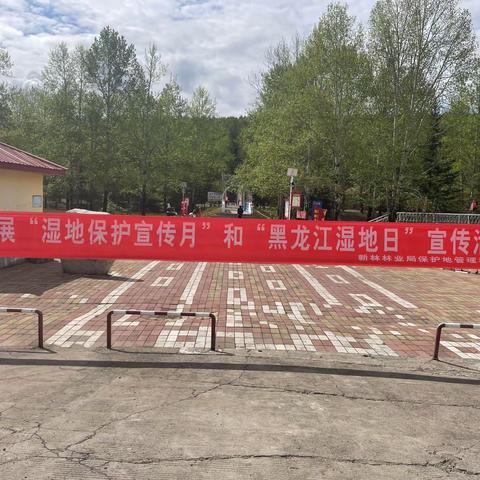 弘扬湿地文化，建设生态文明 新林林业局保护地管理科开展“湿地保护宣传月”“黑龙江湿地日”宣传活动