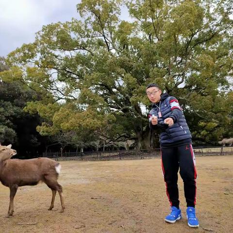 2020年春节，大年初六，初七！好好（生活:)！