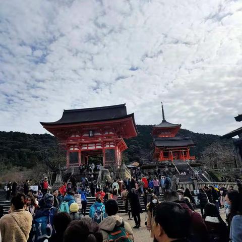 2020春节，大年初二，朗朗晴天，祈福一切安好！