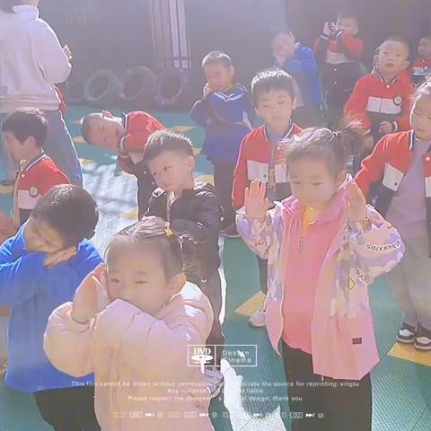 博雅蒲公英幼儿园朵朵一班十一月美篇