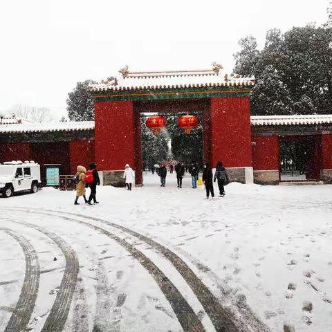中山公园春雪风采
