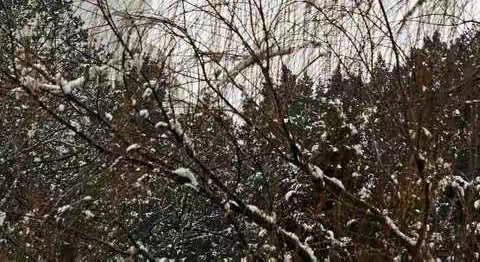 北海公园雪缘