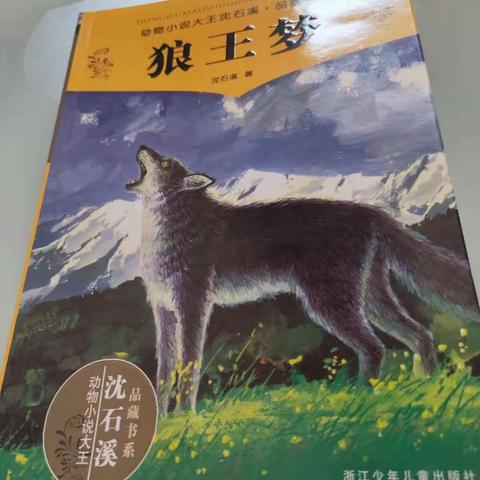 双辽市第五小学三年四班邢万琪，家庭读书会。