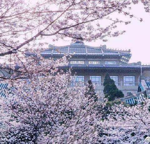 静待家中，从我做起！