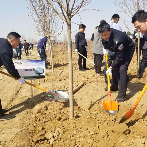 沣西公安分局积极参加义务植树活动