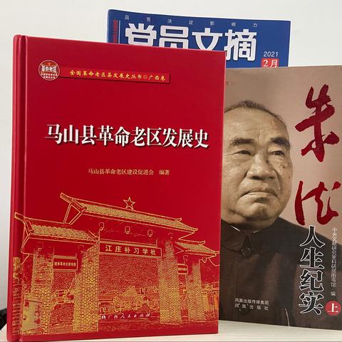 马山县支行组织开展“学党史、悟初心、担使命”青年读书会活动