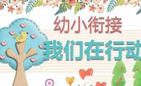 幼小衔接——我们在行动🌸