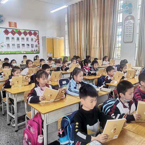 《书本里的蚂蚁》聊书活动一