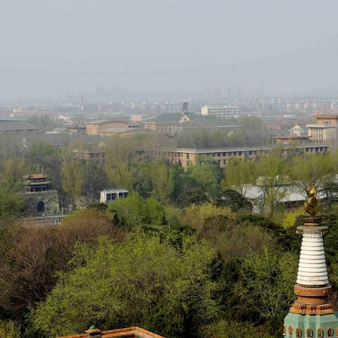 我和我们的党校（1983—2023）曹羲奕