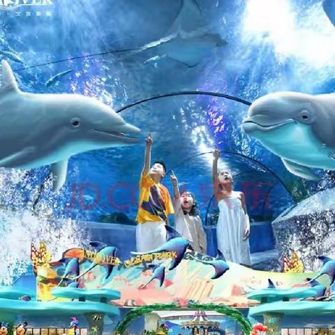 2023年颖慧尔五.一研学之旅| 大连