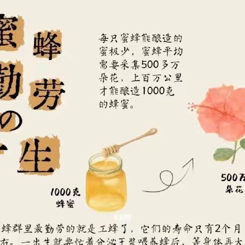 2023颖慧尔蒙正徳行走的课堂---甜蜜相约【周六单日】