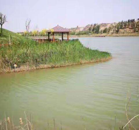 2023颖慧尔行走的课堂---无定河地质探秘+水稻插秧第二期【周六单日】