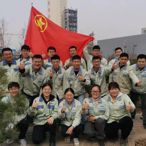 春风吹新绿 希望再扬帆