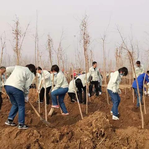 为明泉种下一片新绿