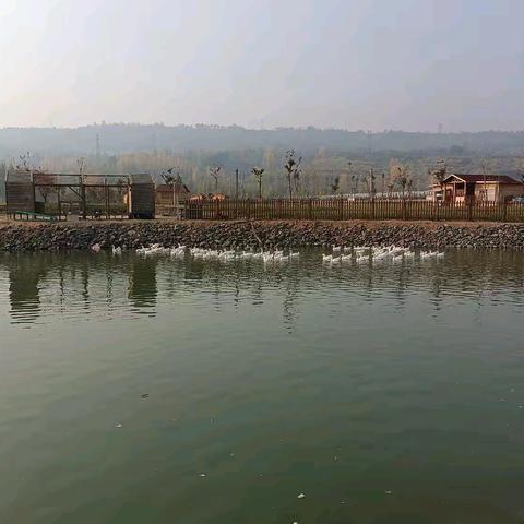 无题（现代诗）