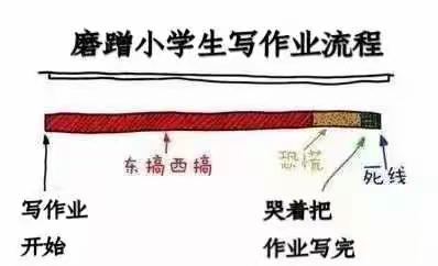 鸽子老师：如何解决低年级孩子写作业拖拉磨蹭的问题