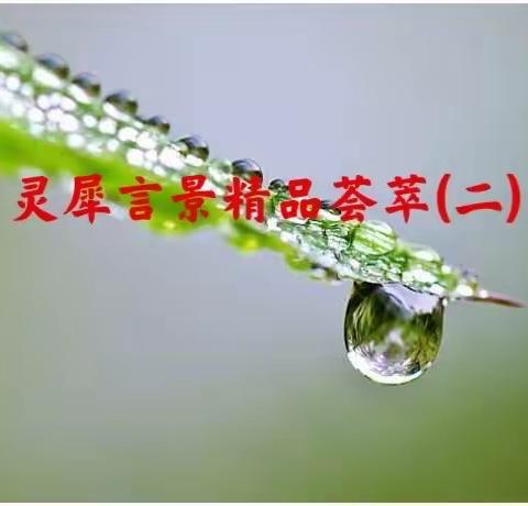 灵犀言景话题荟萃(二)