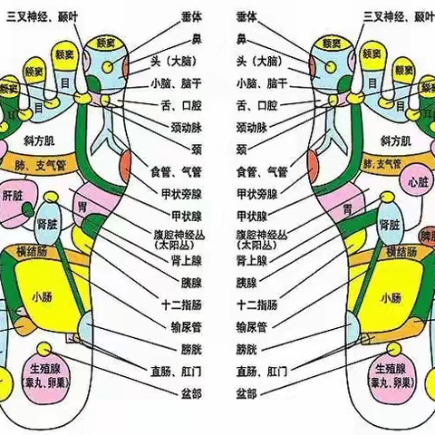 上病取下，百病治足“一病一绝超”