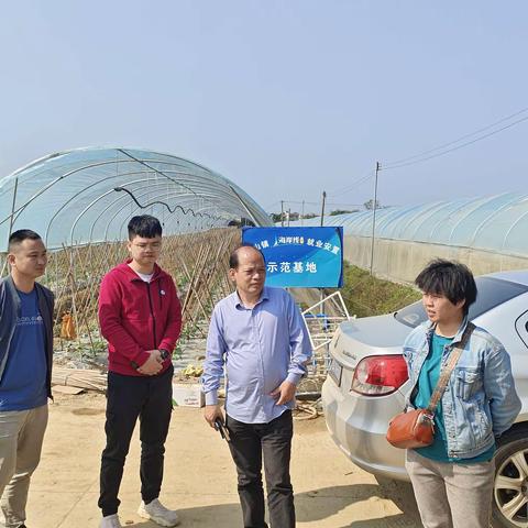 区农业农村局到东山镇农业合作社检查指导农业工作