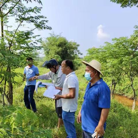 镇农业办到前进村委会进行实际种粮主体农资补贴抽查工作