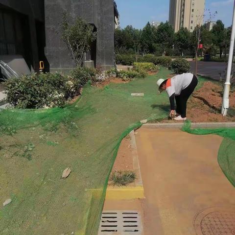 炎炎夏日，始终坚守岗位，头顶烈日，挥洒汗水，为确保小区安全，营造小区优美环境，他们用汗水书写着平凡的责任。