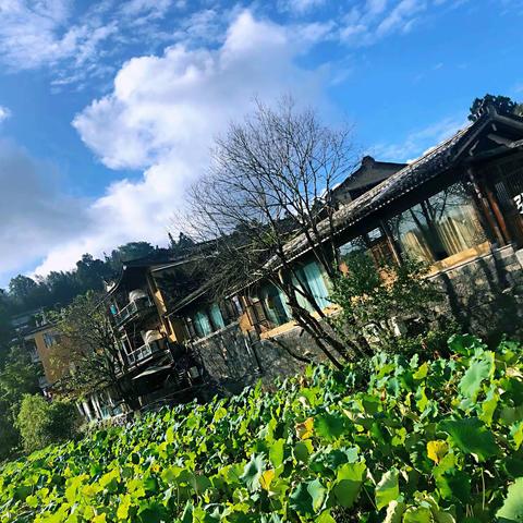 我把心留在了腾冲