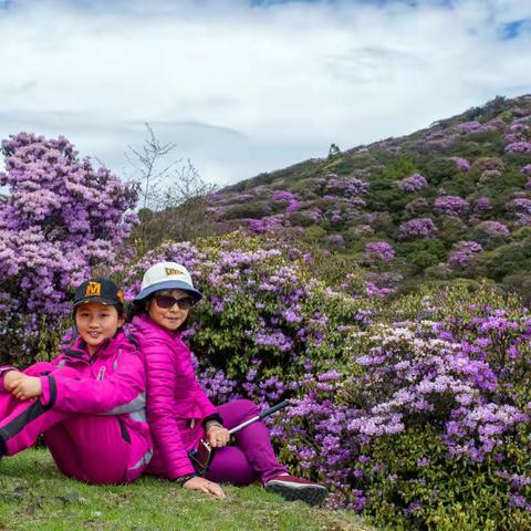 2019年5月2日     罗平山
