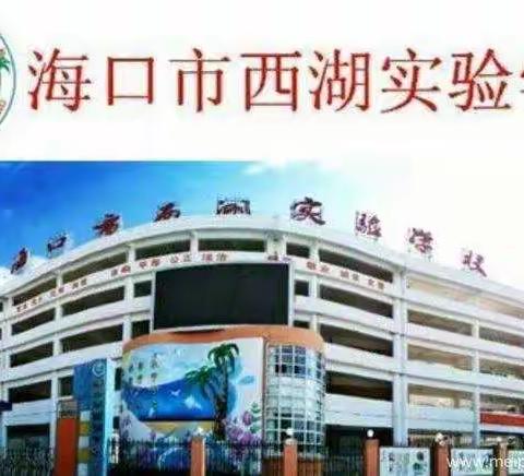 海口市西湖实验学校二年级，2018-2019学年，第二学期的六一游园活动